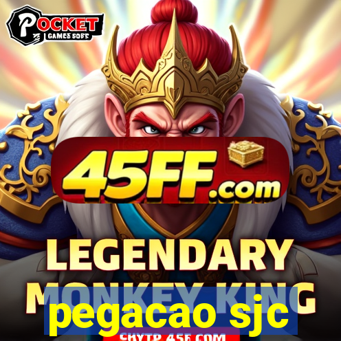 pegacao sjc